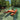 Water Bike 3.0